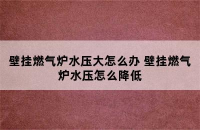 壁挂燃气炉水压大怎么办 壁挂燃气炉水压怎么降低